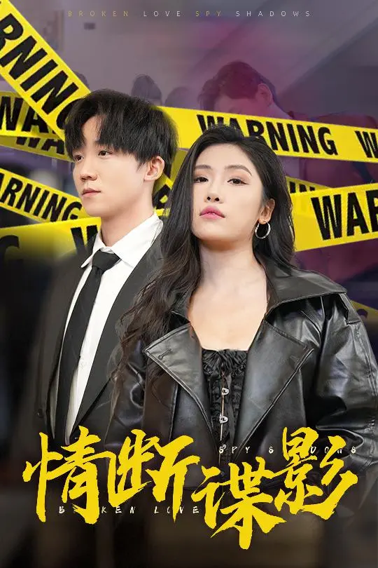 《情断谍影》：特工妻子的秘密与爱情，悬疑与情感交织