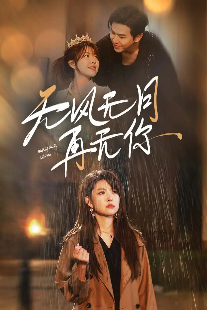 无风无月再无你 海报