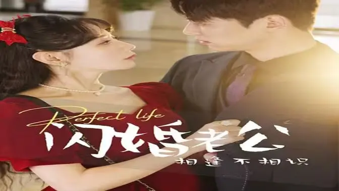 闪婚老公相逢不相识 海报