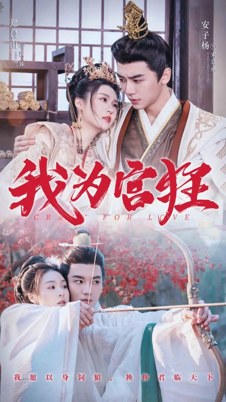 《我为宫狂》：穿越时空的爱恋，一场青春与命运的交织狂想曲